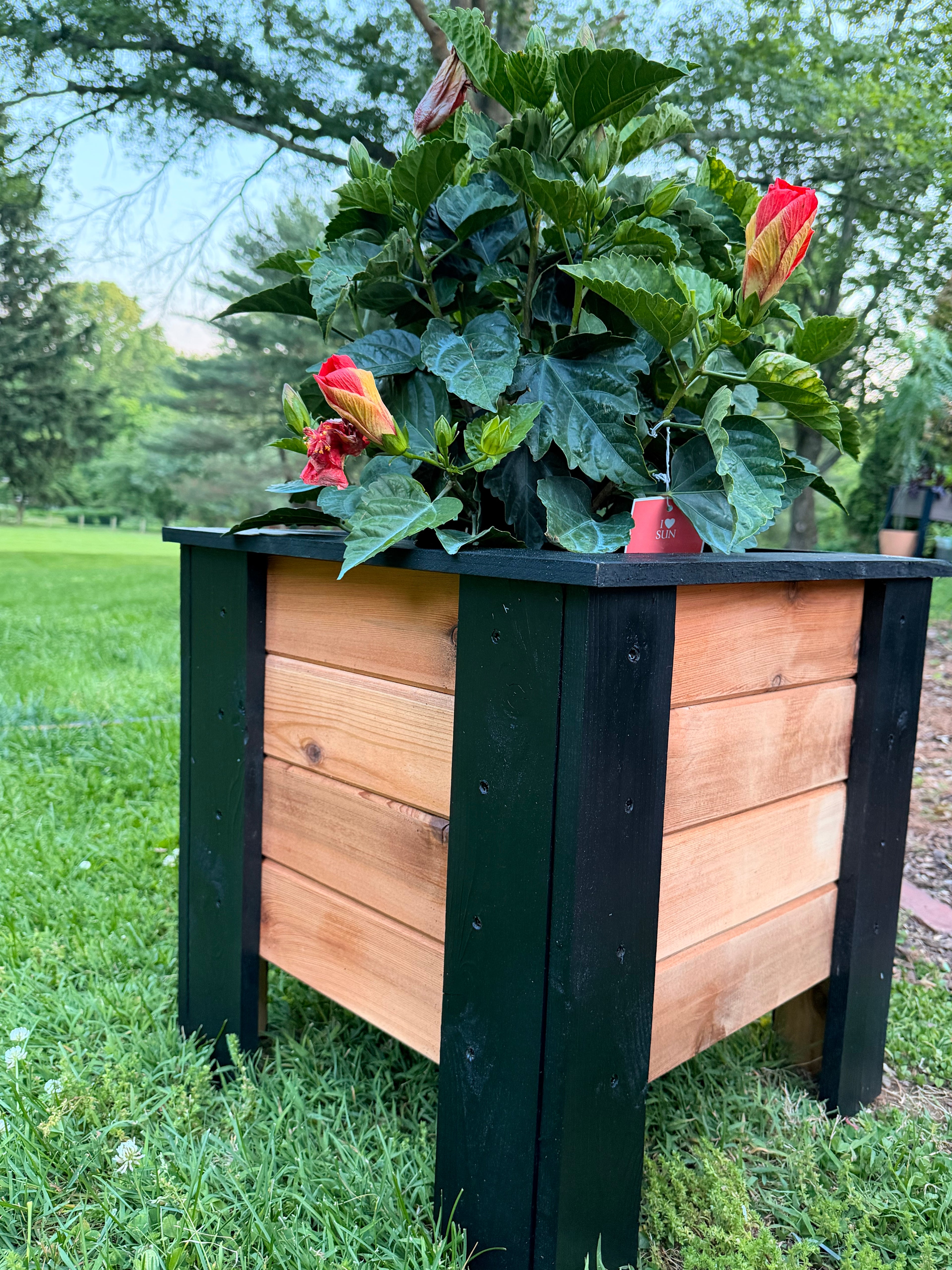 Handcrafted Raised Cedar Planter