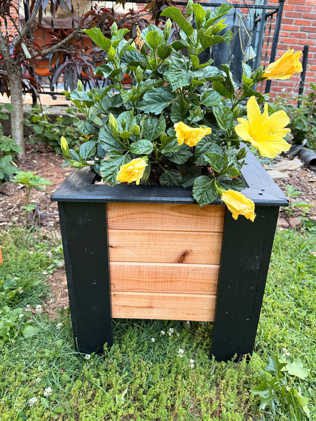 Handcrafted Raised Cedar Planter