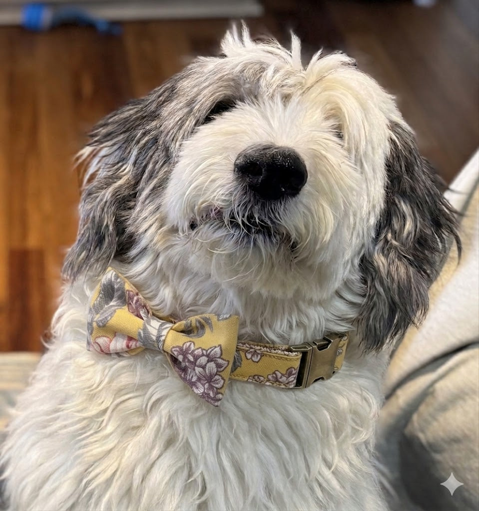 Debonair Dog Bowtie Collection
